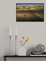 Field Poster och Canvastavla