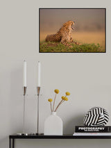 Yawnnnn Poster och Canvastavla