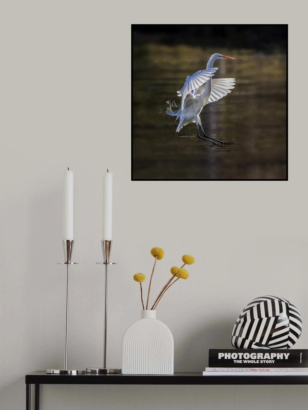 Poster och Canvastavla