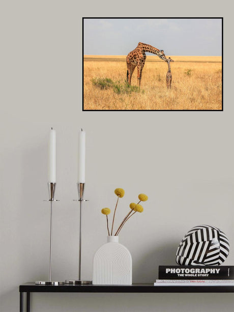 Newborn Poster och Canvastavla