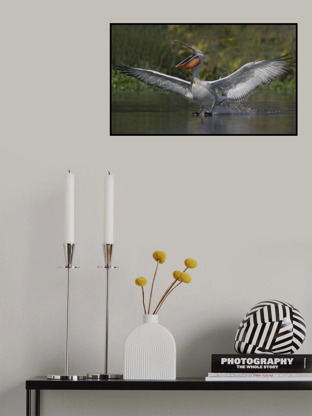 Landed Poster och Canvastavla