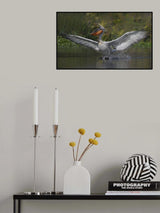 Landed Poster och Canvastavla