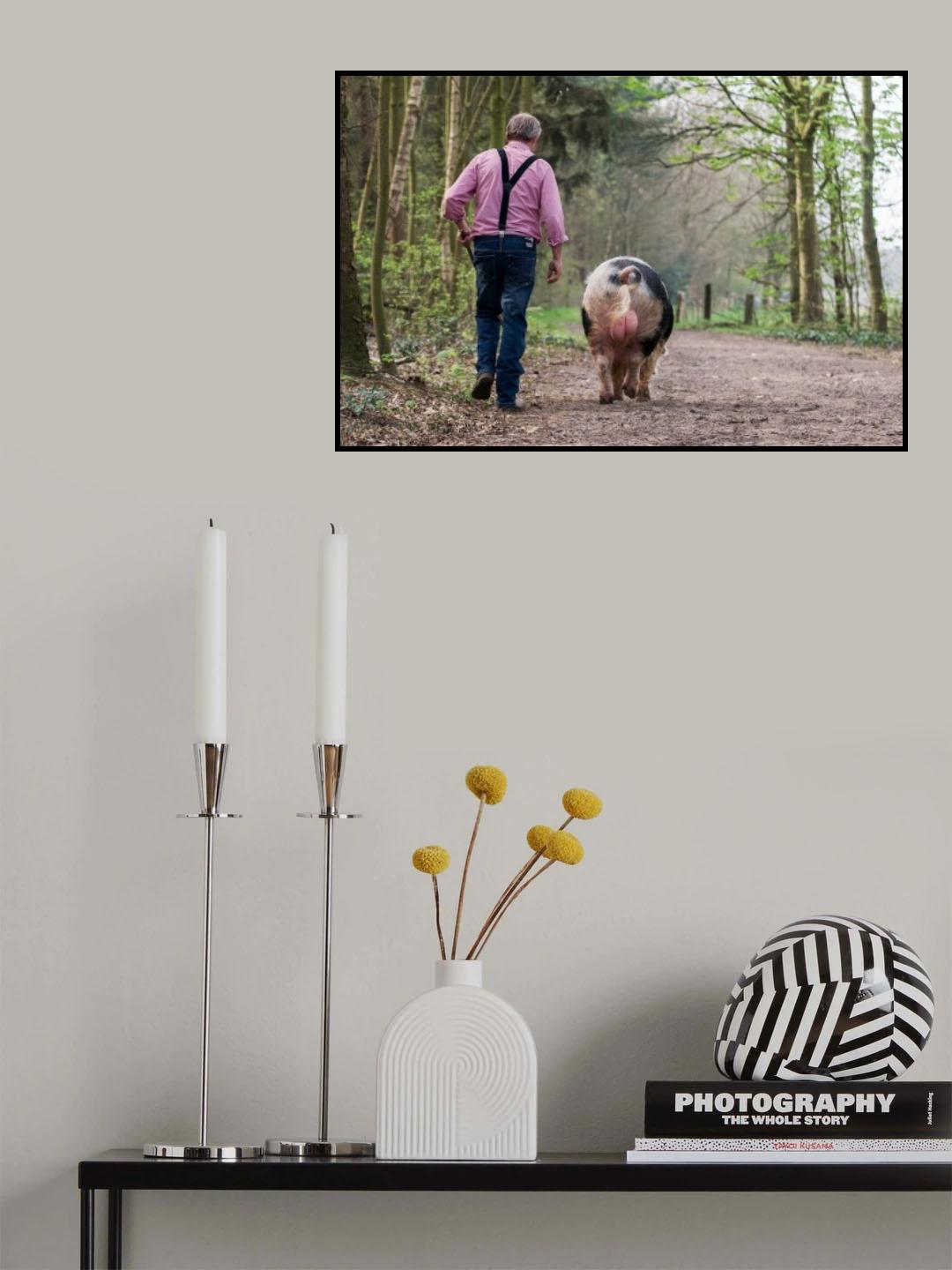A walk in the woods Poster och Canvastavla