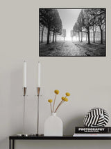 Trees in winter Poster och Canvastavla