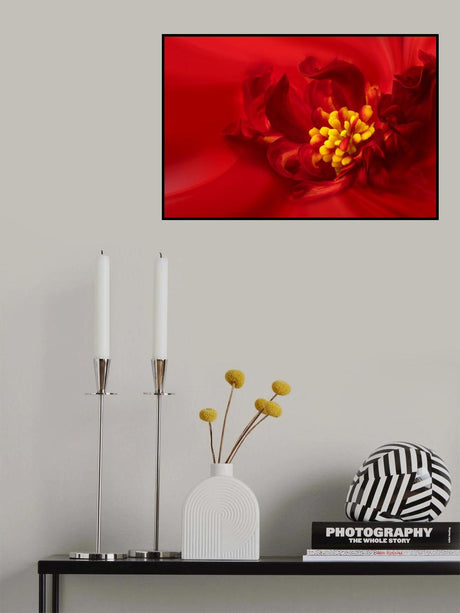 Yellow Stamen Poster och Canvastavla