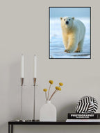 Confidence Poster och Canvastavla
