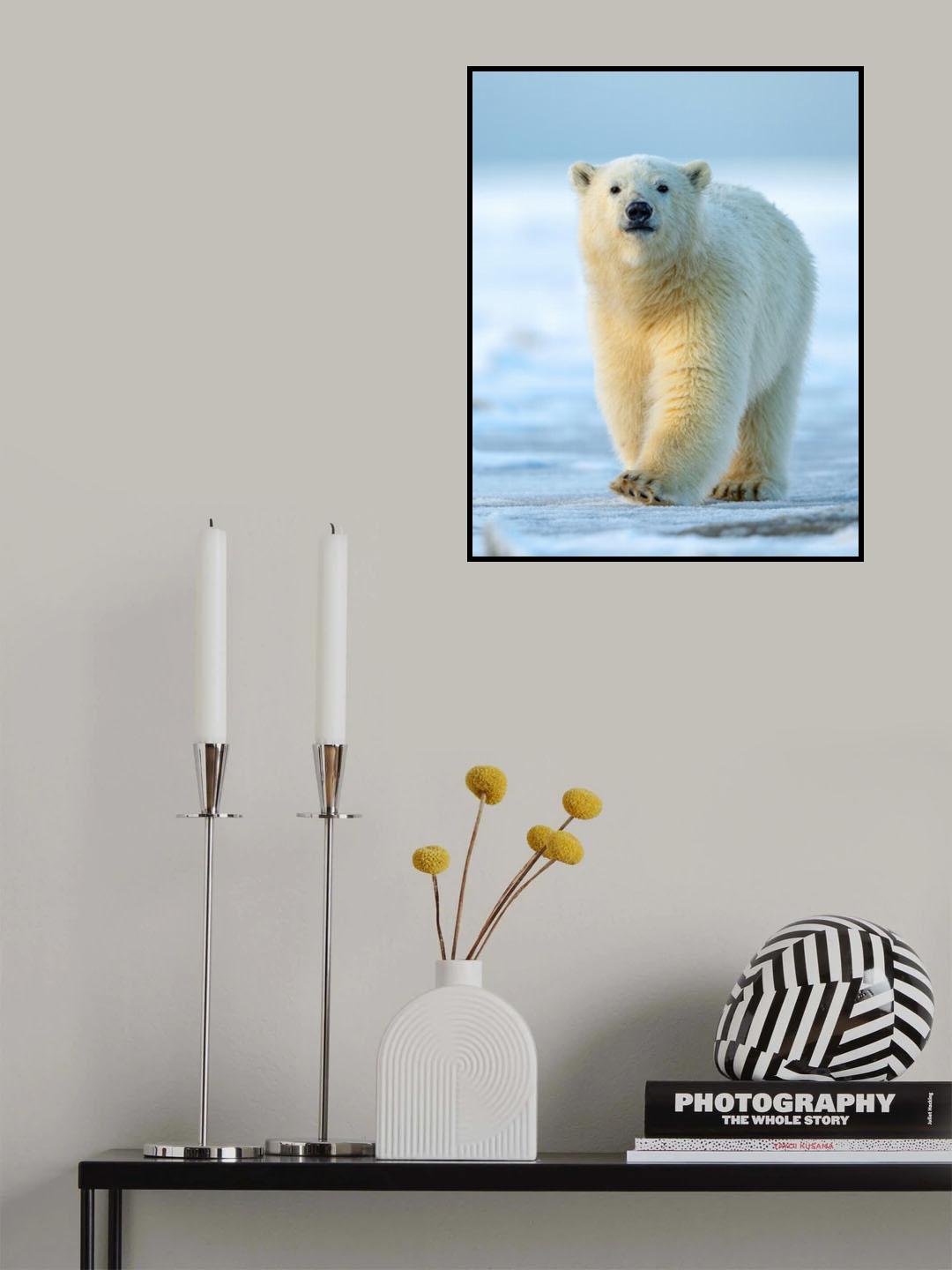 Confidence Poster och Canvastavla