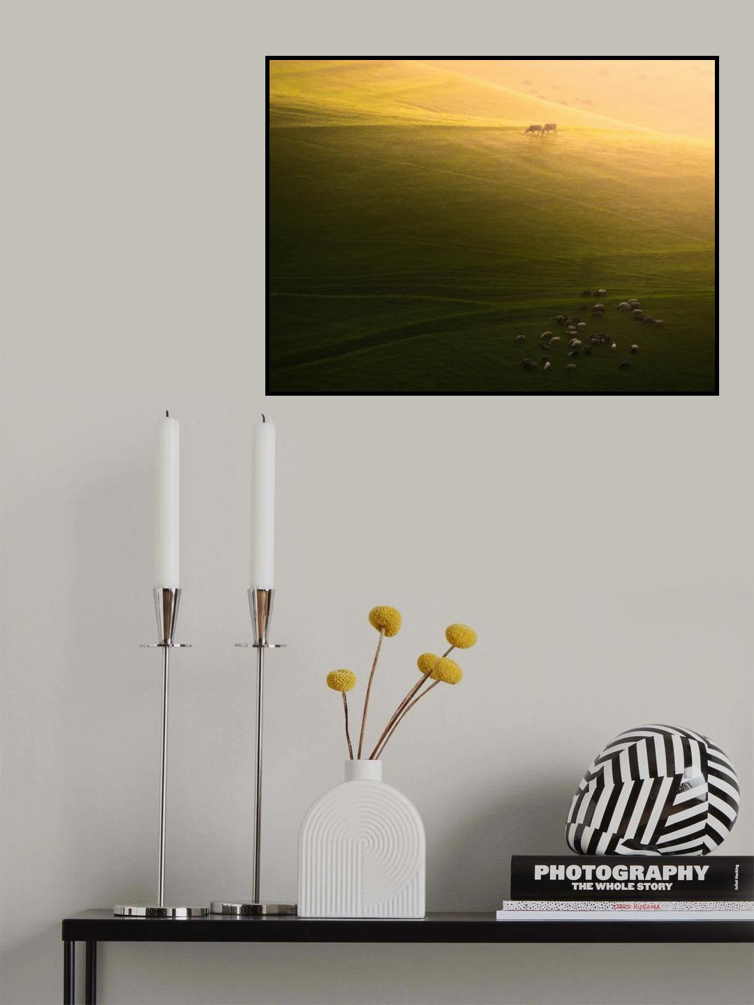 Livestock in the Farm Poster och Canvastavla