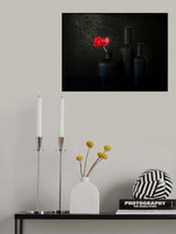 Rainy Day Poppy Poster och Canvastavla