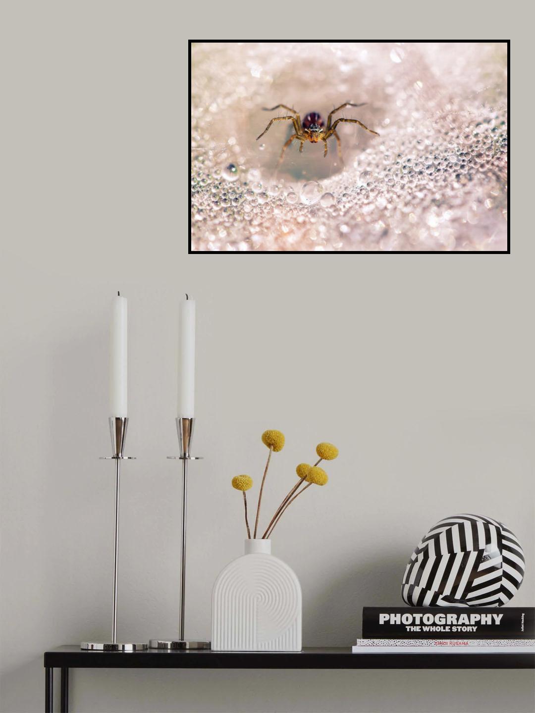 Spider Among The Dew Poster och Canvastavla