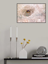 Spider Among The Dew Poster och Canvastavla
