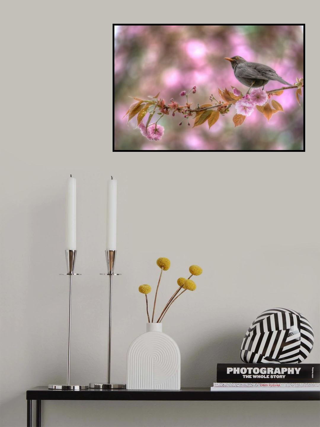 A Blackbird in Spring Poster och Canvastavla