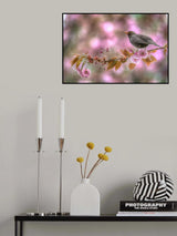 A Blackbird in Spring Poster och Canvastavla