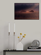 Battle of stag in the spotlight Poster och Canvastavla