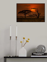 Sunset in Serengeti Poster och Canvastavla