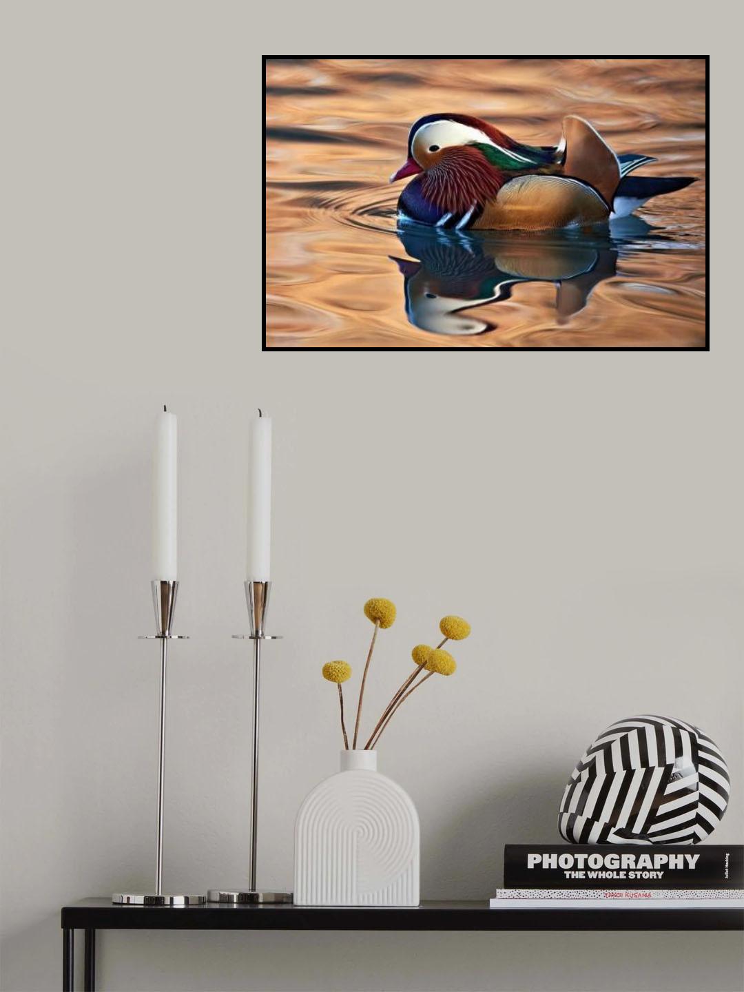 Mandarin duck Poster och Canvastavla