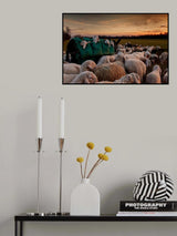 Toward new grasslands Poster och Canvastavla
