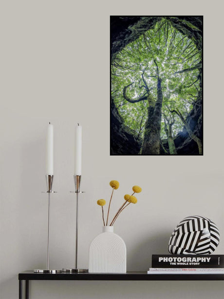 Mother tree of life Poster och Canvastavla
