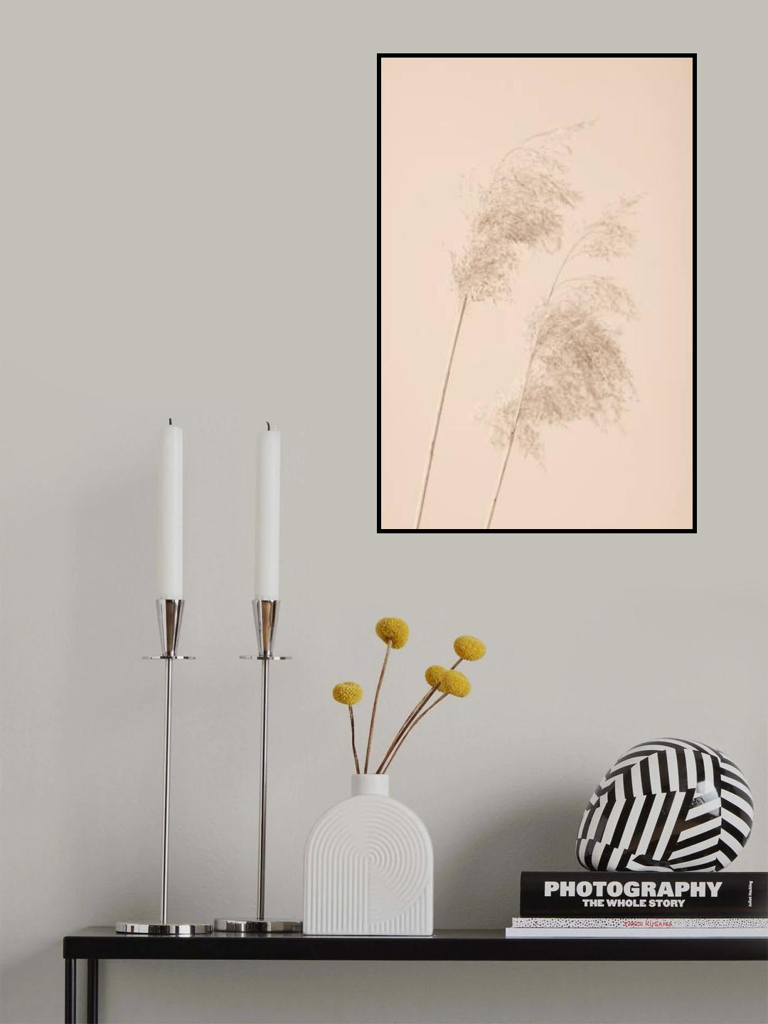 Reed Grass Beige 05 Poster och Canvastavla