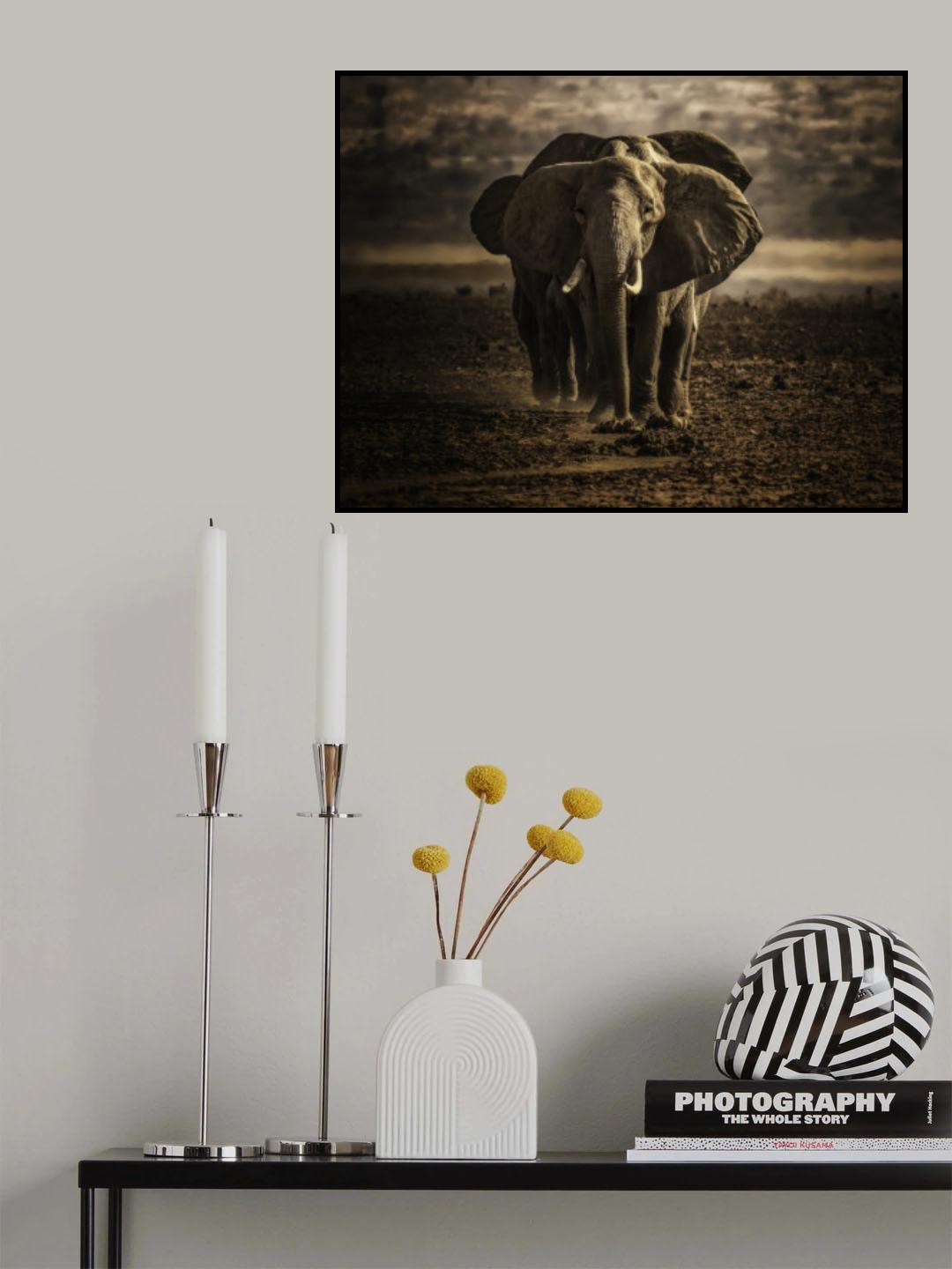 Single File March Poster och Canvastavla