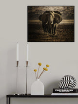 Single File March Poster och Canvastavla