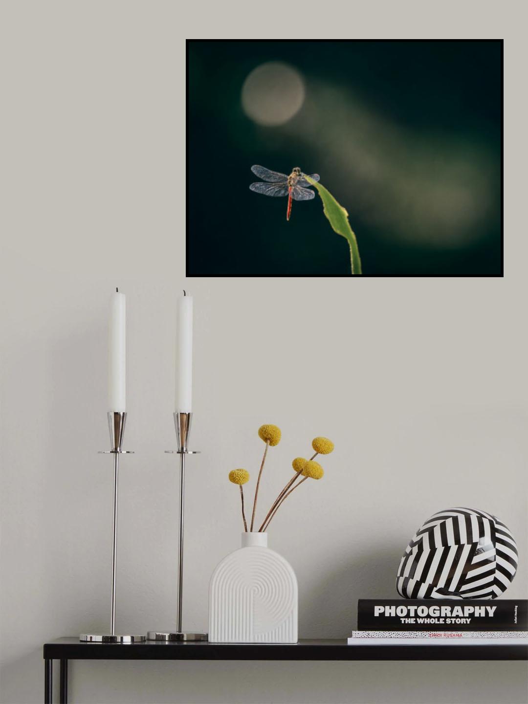 you and the sky Poster och Canvastavla