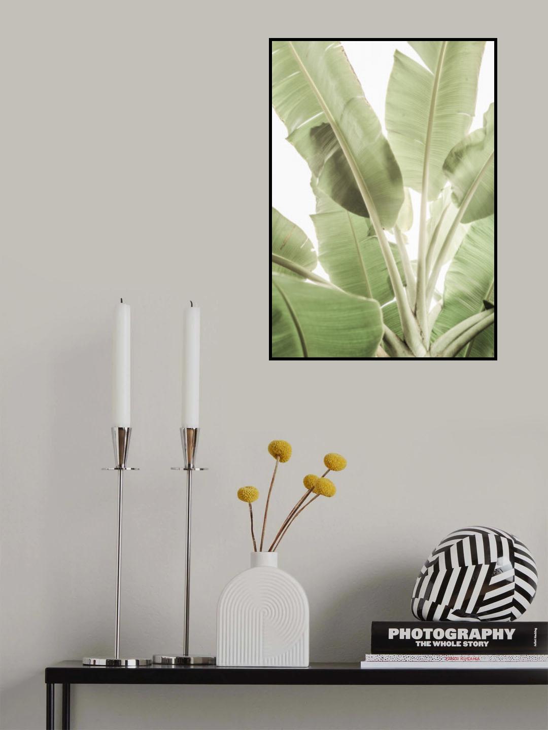 Full Bloom Poster och Canvastavla