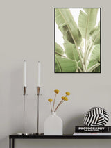Full Bloom Poster och Canvastavla