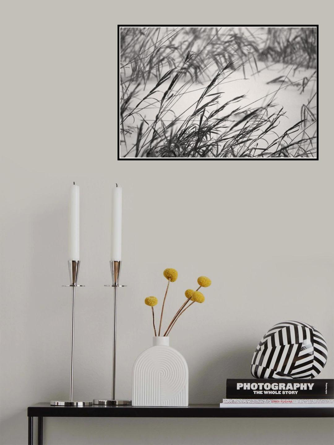 Chilled grass Poster och Canvastavla
