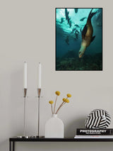 To the deep Poster och Canvastavla