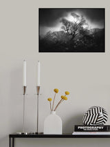 Fog Scene Poster och Canvastavla