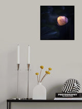 Glow In Dark Poster och Canvastavla