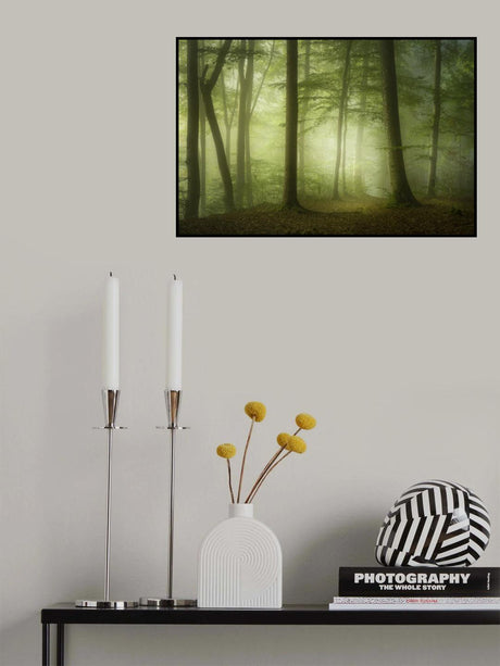 Mysterious Spring Morning Poster och Canvastavla