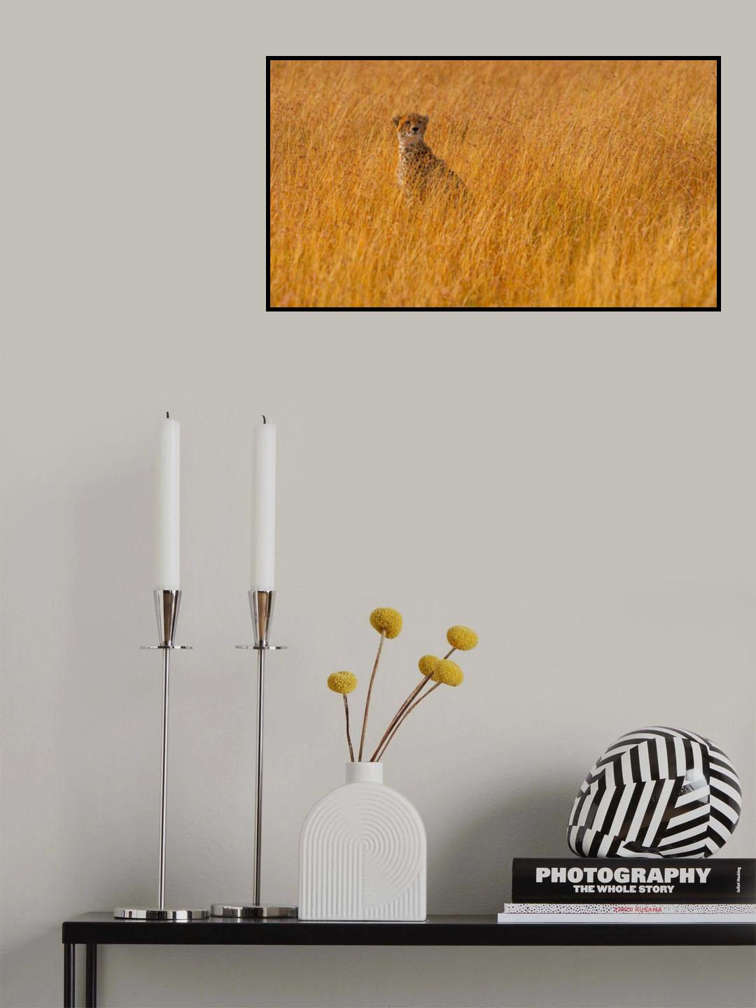 Ferrari of the Bush Poster och Canvastavla