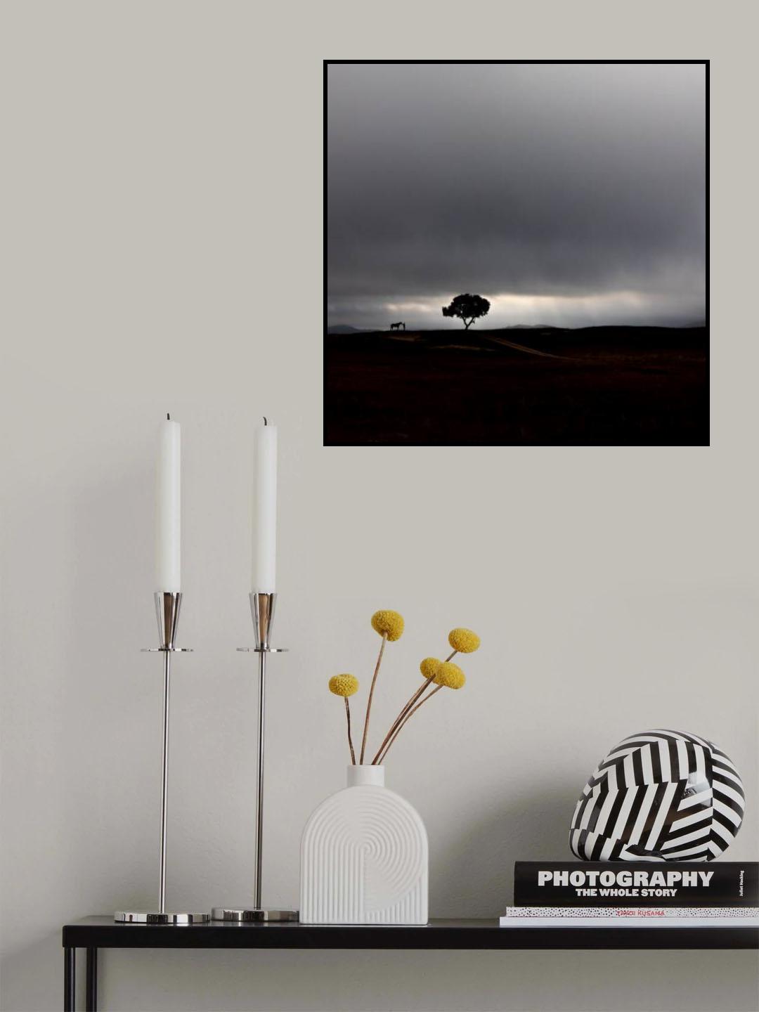 A storm will be coming Poster och Canvastavla