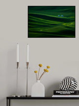 Farm Poster och Canvastavla