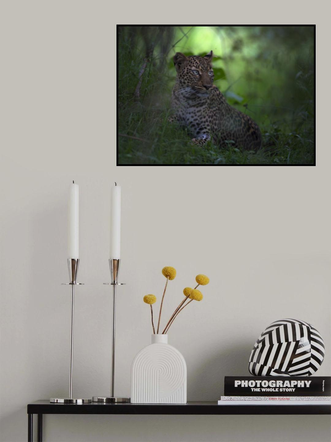 Leopard In Africa Poster och Canvastavla