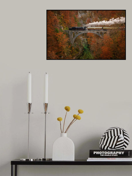 Museum train Poster och Canvastavla