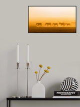 Morning walk Poster och Canvastavla