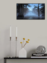 Misty Morning at Caddo lake Poster och Canvastavla