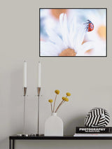 Ladybug Poster och Canvastavla