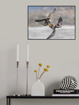 Buddy Buddy Poster och Canvastavla