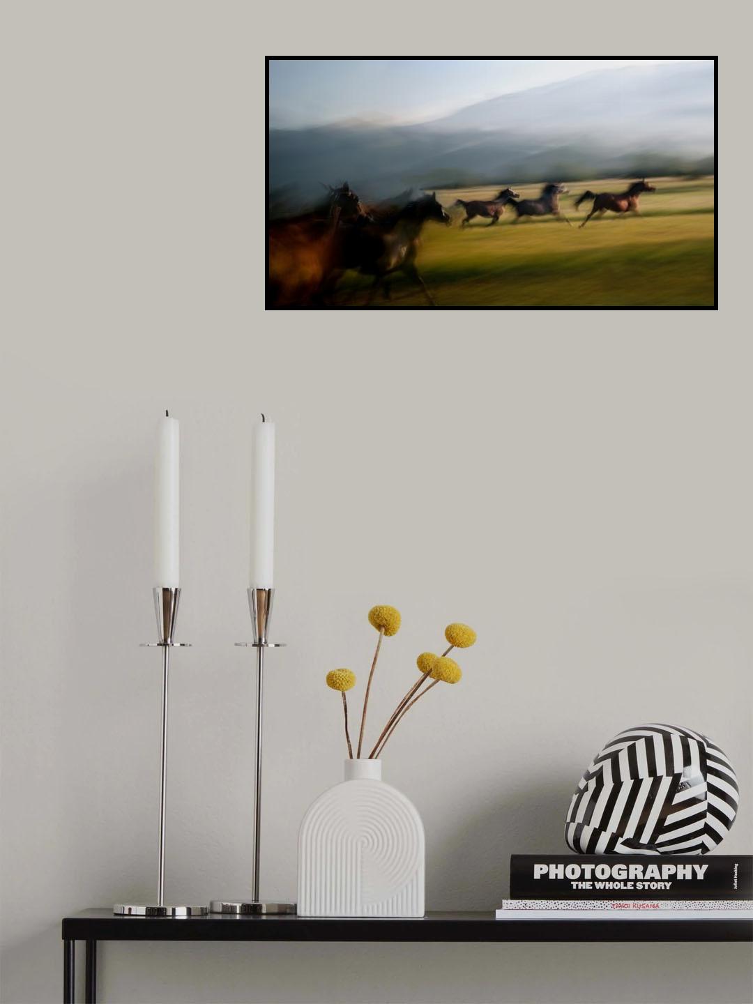 Free gallop Poster och Canvastavla