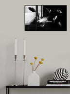 The man of pigeons Poster och Canvastavla