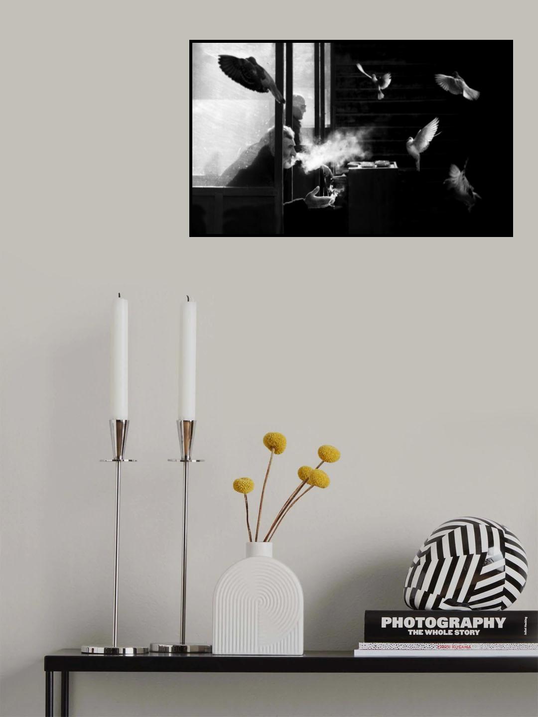 The man of pigeons Poster och Canvastavla