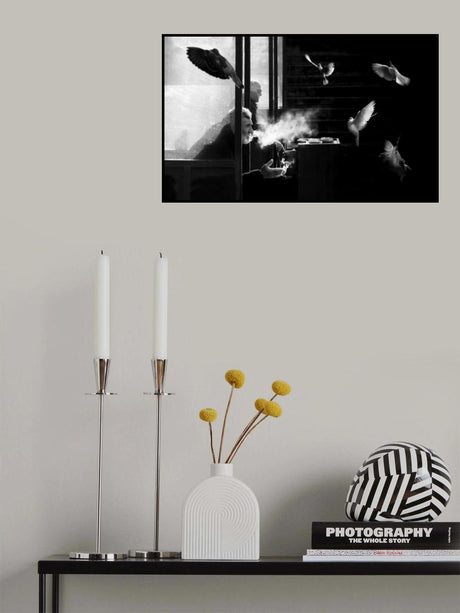 The man of pigeons Poster och Canvastavla
