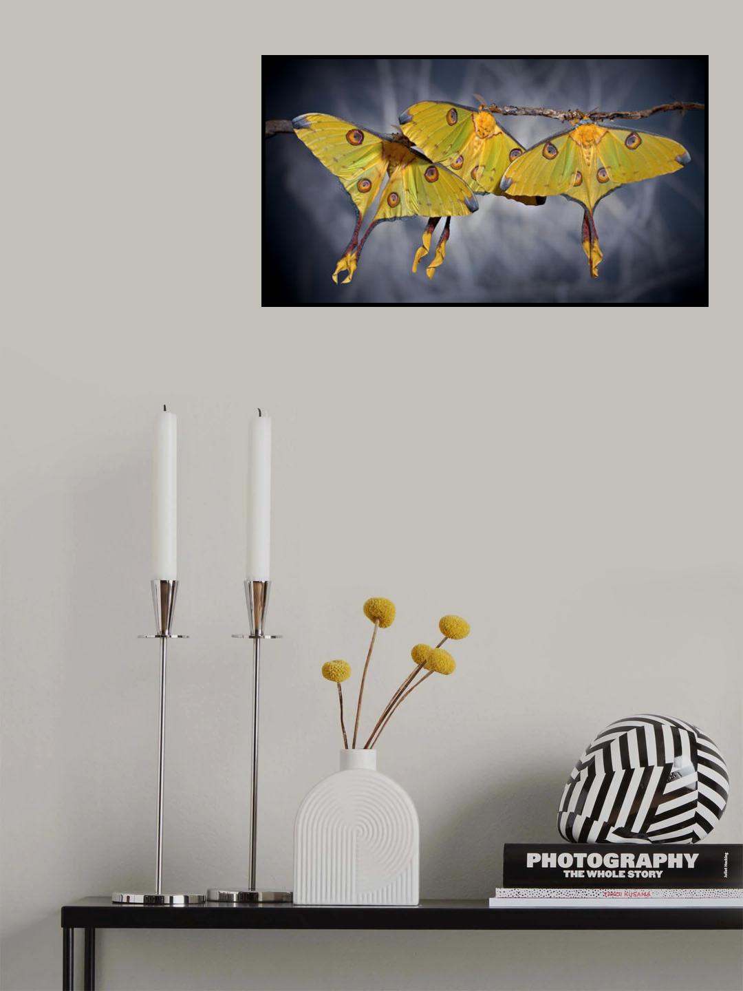 ♀♀♀ Poster och Canvastavla