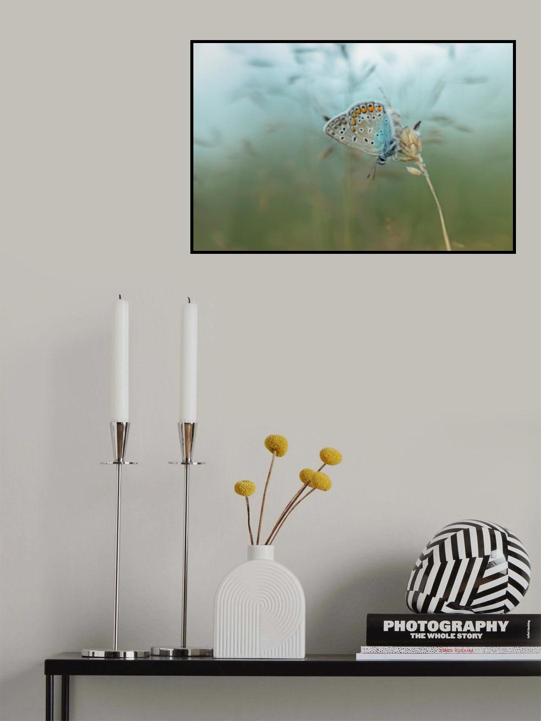 Common Blue Poster och Canvastavla