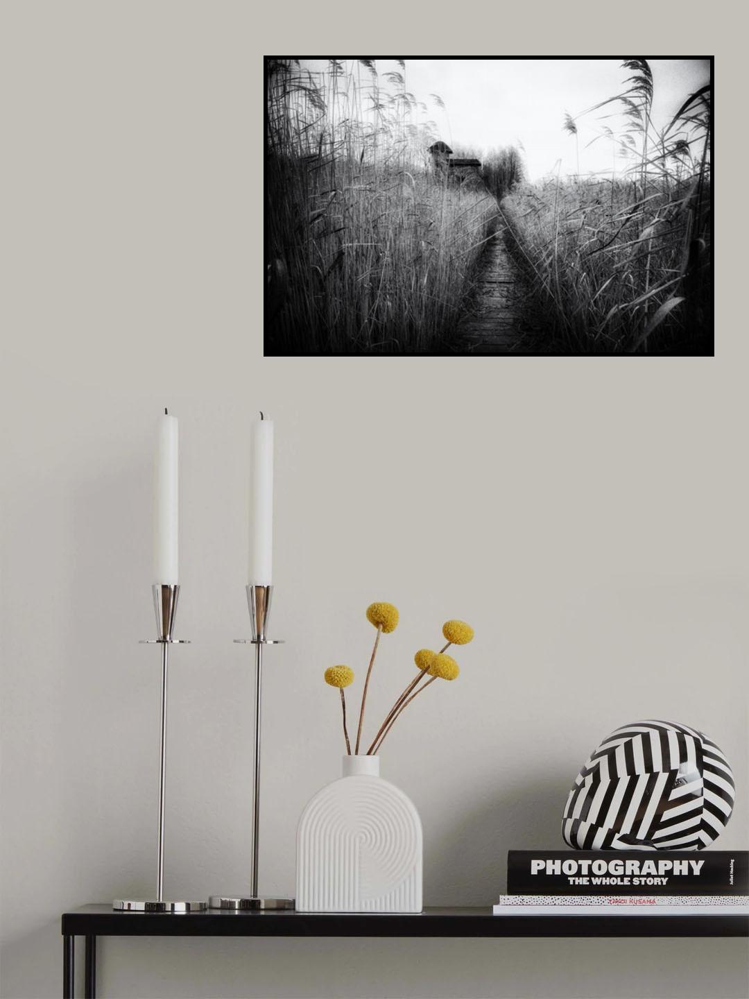 The marsh house Poster och Canvastavla