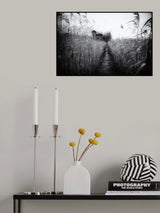 The marsh house Poster och Canvastavla